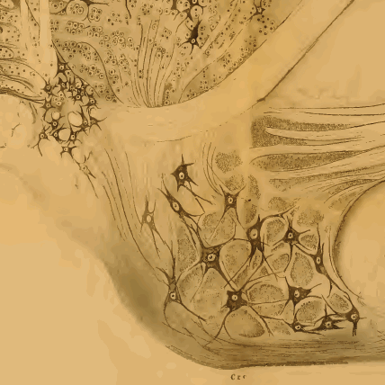 This image has been removed. For security reasons, only images from the local domain are allowed. Image removed.