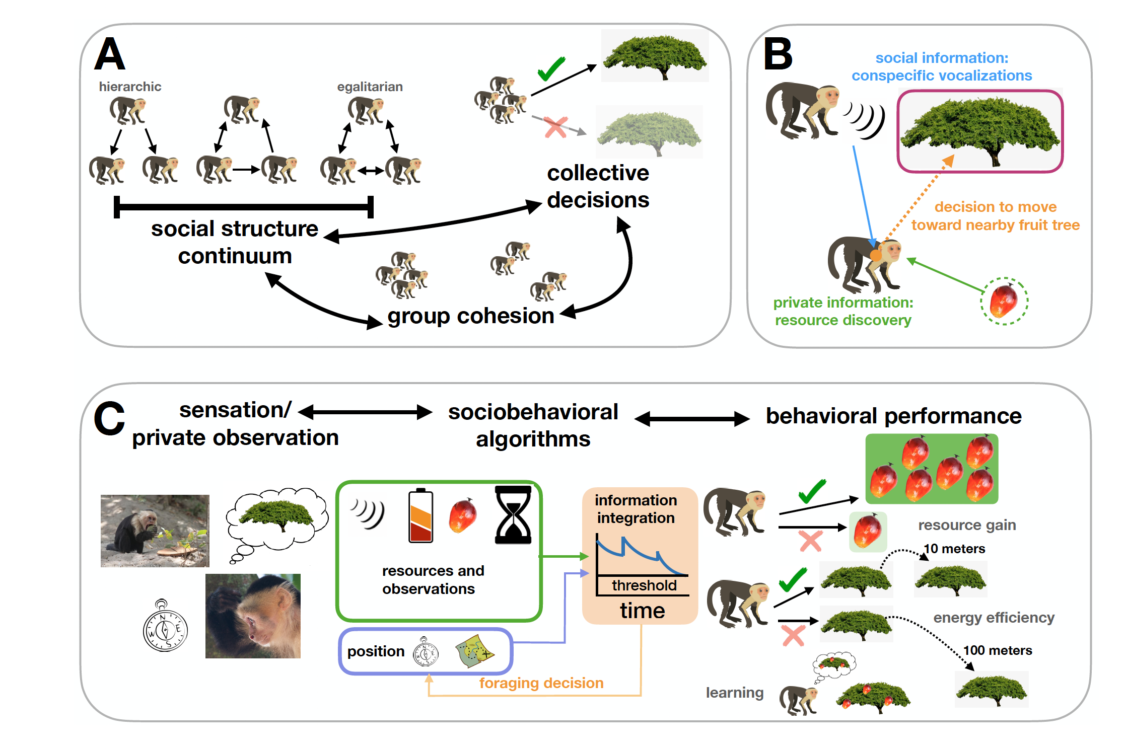 Unravelling The Diversity Of Foraging Strategies | Sainsbury Wellcome ...