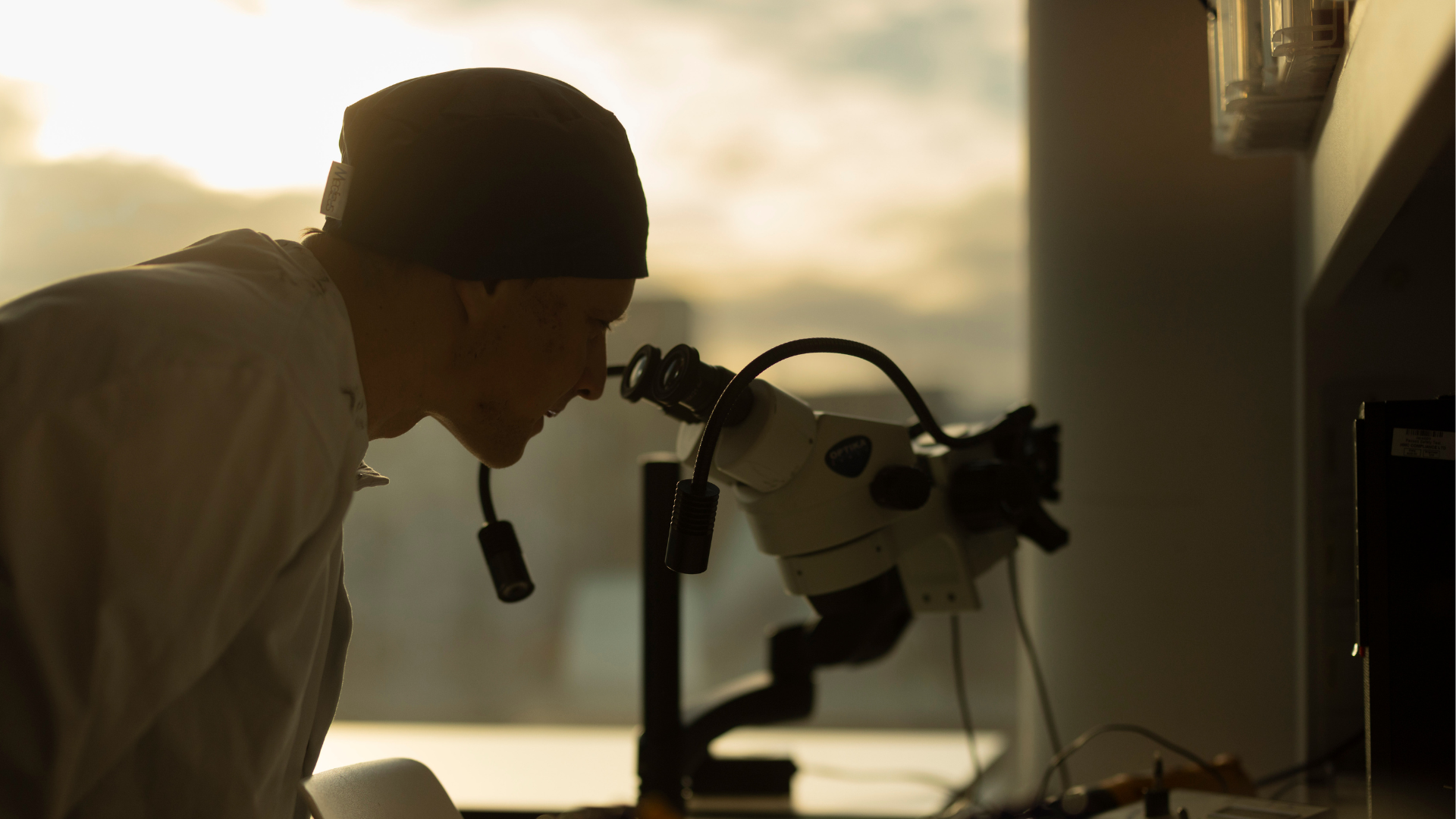 Scientist looking down a microscope symbolizing innovation