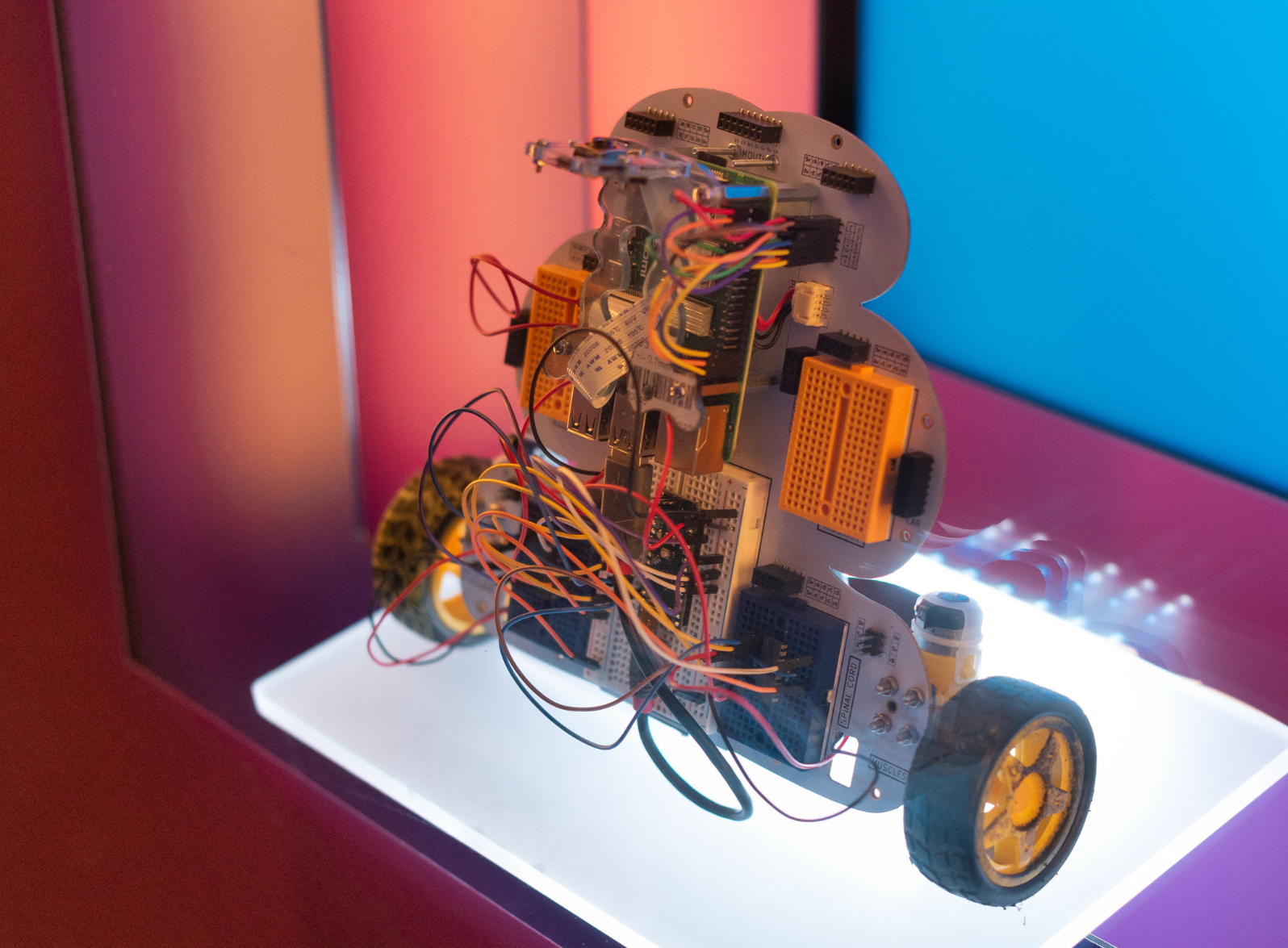 Photo of a robot made by SWC and GCNU PhD students