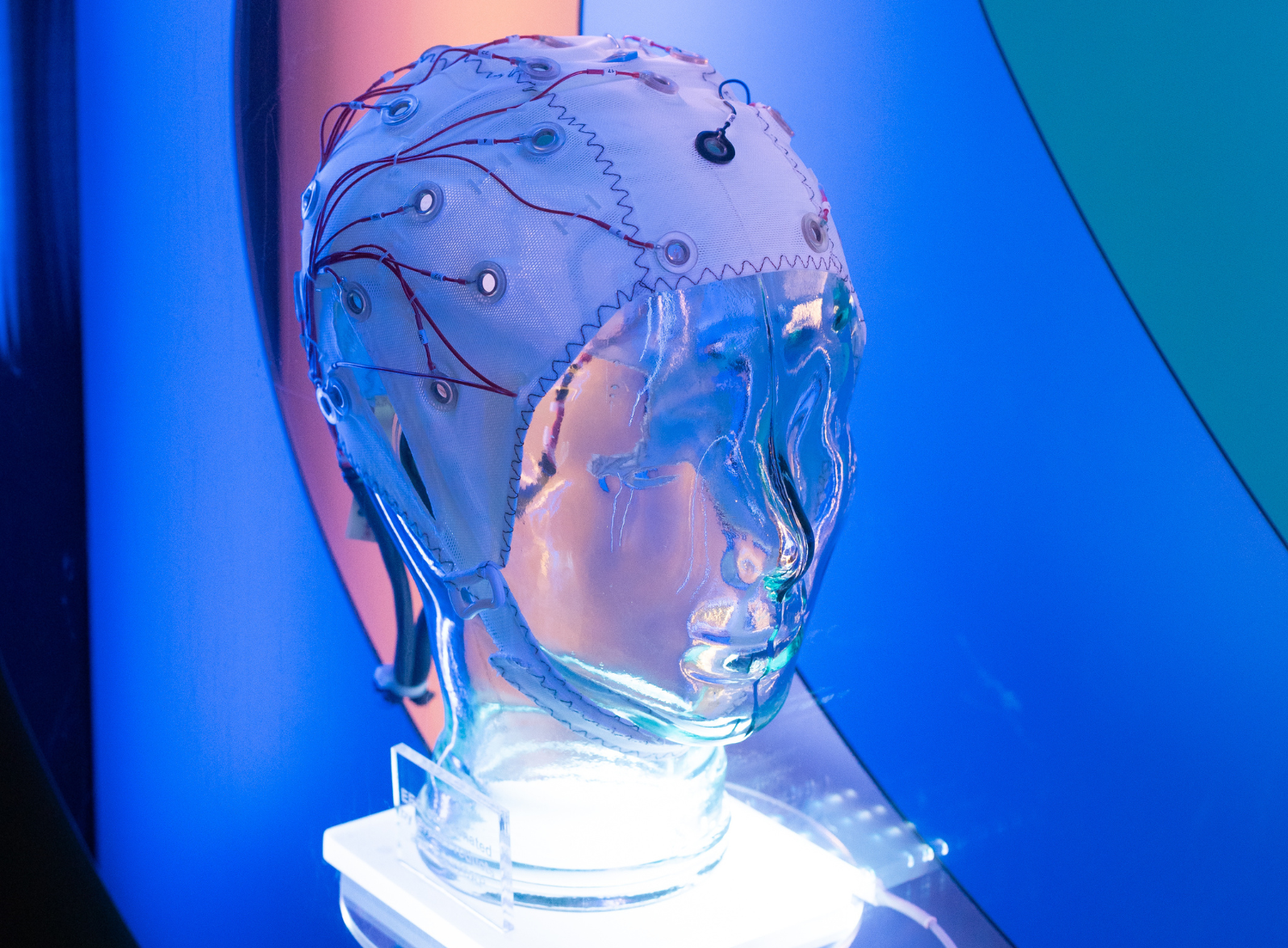 Photo of an EEG cap on a glass mannequin head displayed in the SWC vitrine