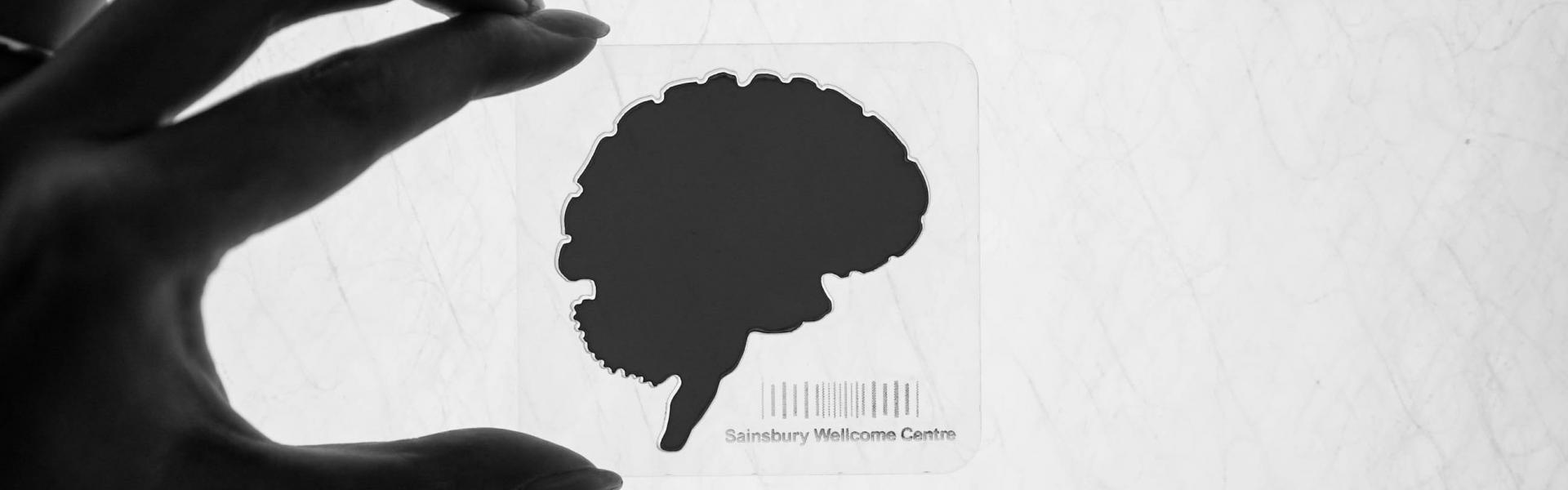 Memory and imagination: two sides of the same coin? | Sainsbury Wellcome  Centre