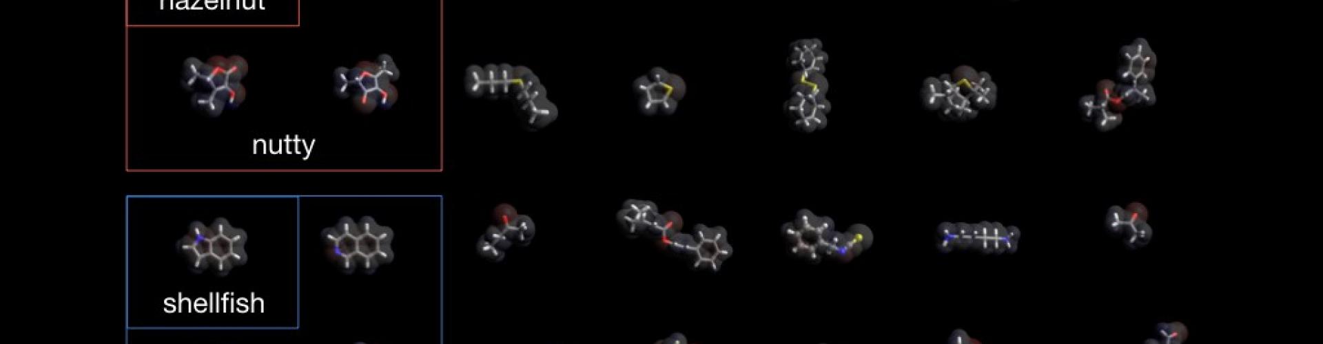 Odour molecules