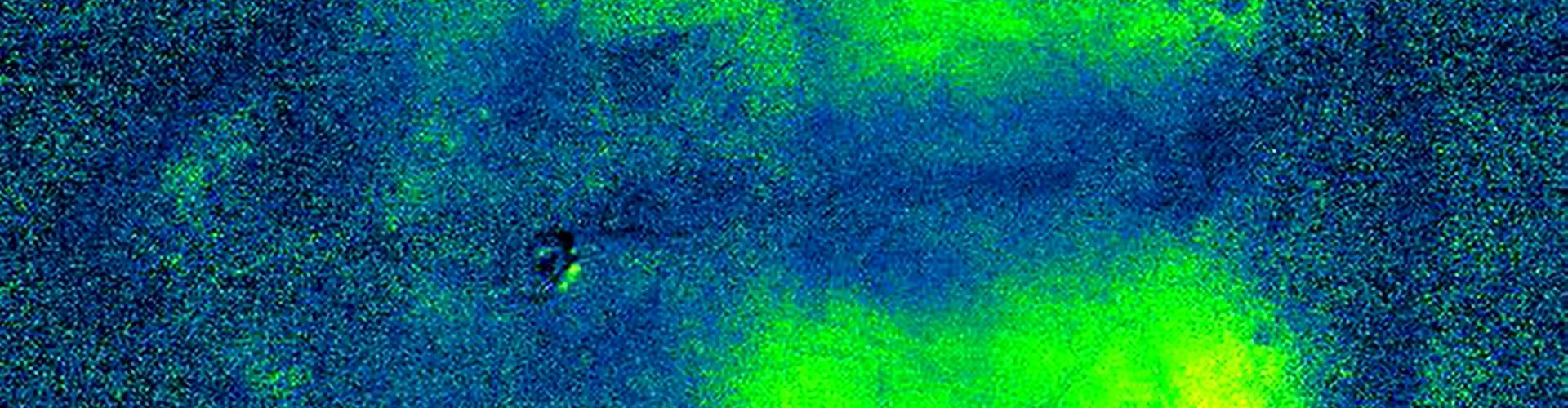 Calcium activity waves play across dorsal cortex