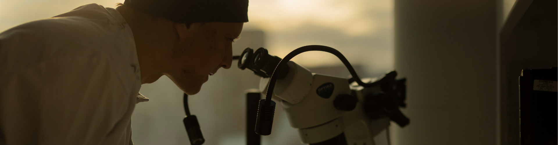 Scientist looking down a microscope symbolizing innovation