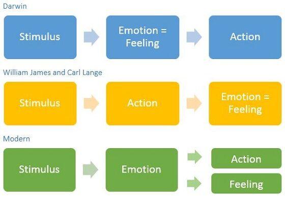 Darwin, James / Lange / Modern models of Stimulus / Emotions / Action / Feeling - Frans de Waal Darwin, James / Lange / Modern models of Stimulus / Emotions / Action / Feeling - Frans de Waal